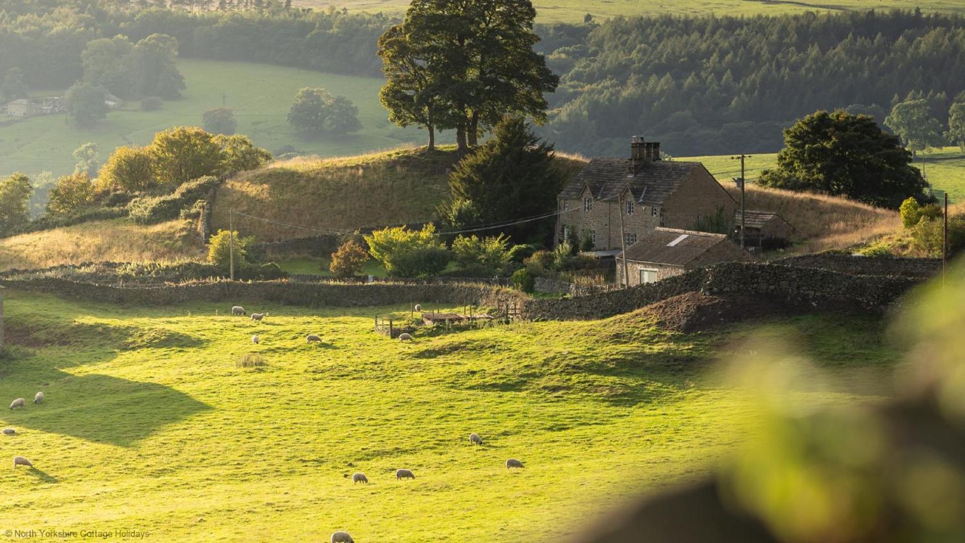 Deer View Lodge Close To Pickering Εξωτερικό φωτογραφία